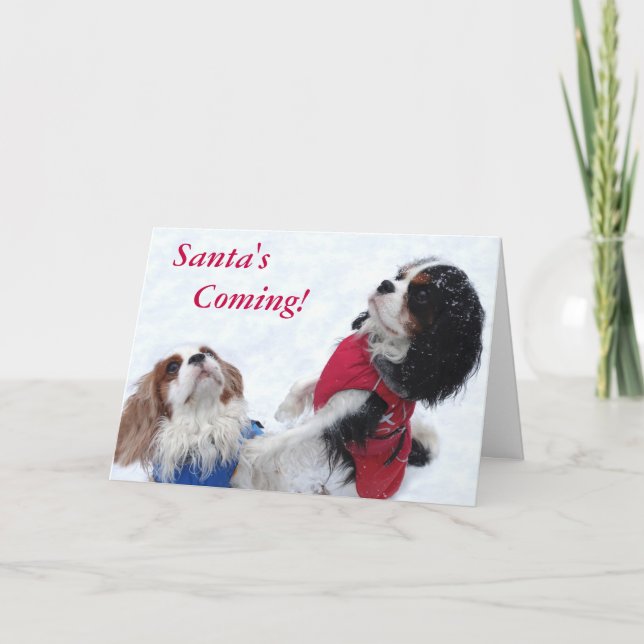 Festividades Cartão de Natal descuidado do Spaniel de rei (Frente)
