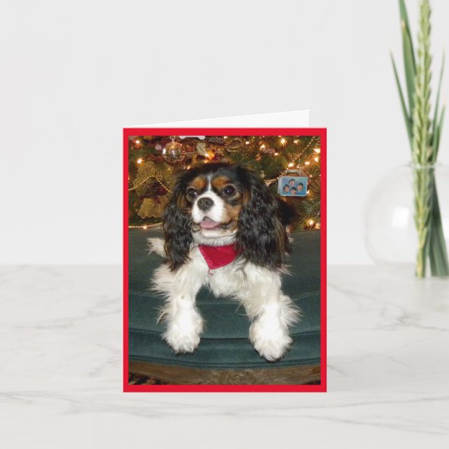 Festividades Cartão de Natal descuidado do Spaniel de rei (Frente)