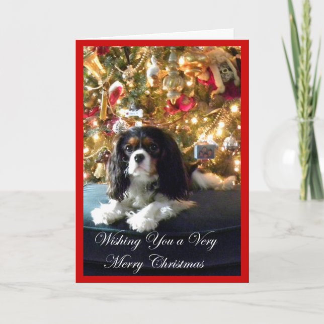 Festividades Cartão de Natal descuidado do Spaniel de rei (Frente)