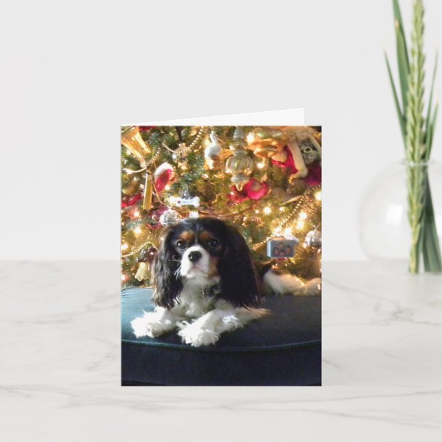 Festividades Cartão de Natal descuidado do Spaniel de rei (Frente)