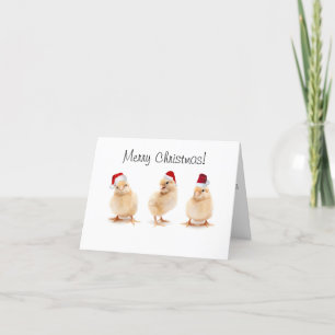 Festividades Cartão de Natal - design de frango