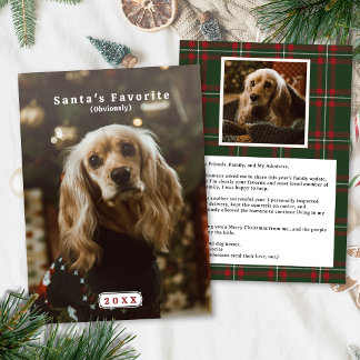 Festividades Cartão de Natal Divertido de Animal de Estimação c