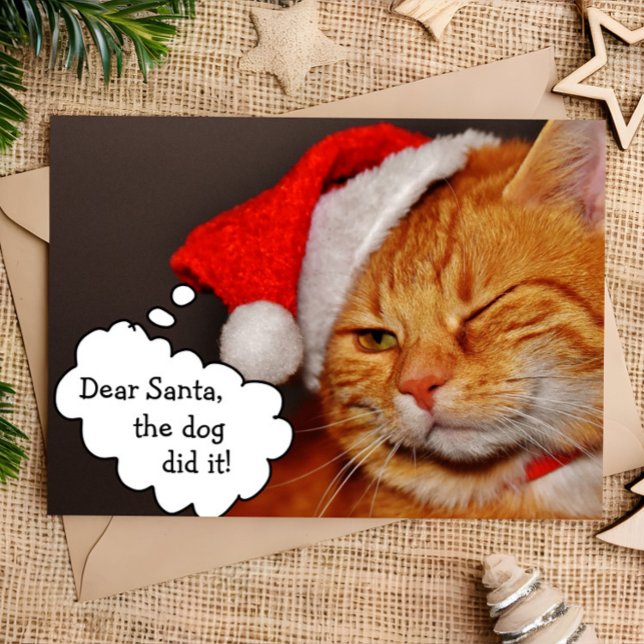 Festividades Cartão de Natal Divertido e Fofo de Gato para as F (Criador carregado)