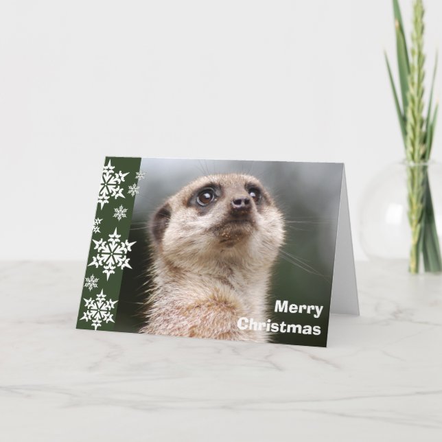 Festividades Cartão de Natal do Alert Meerkat (Frente)