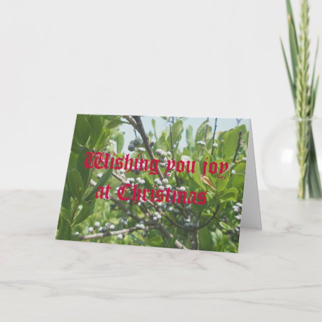 Festividades Cartão de Natal do Bayberry (Frente)