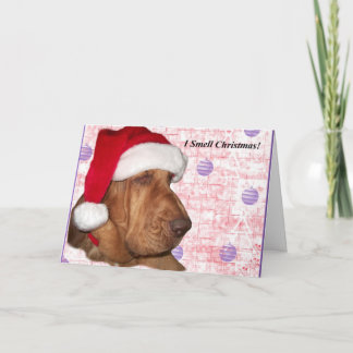 Festividades Cartão de Natal do Bloodhound