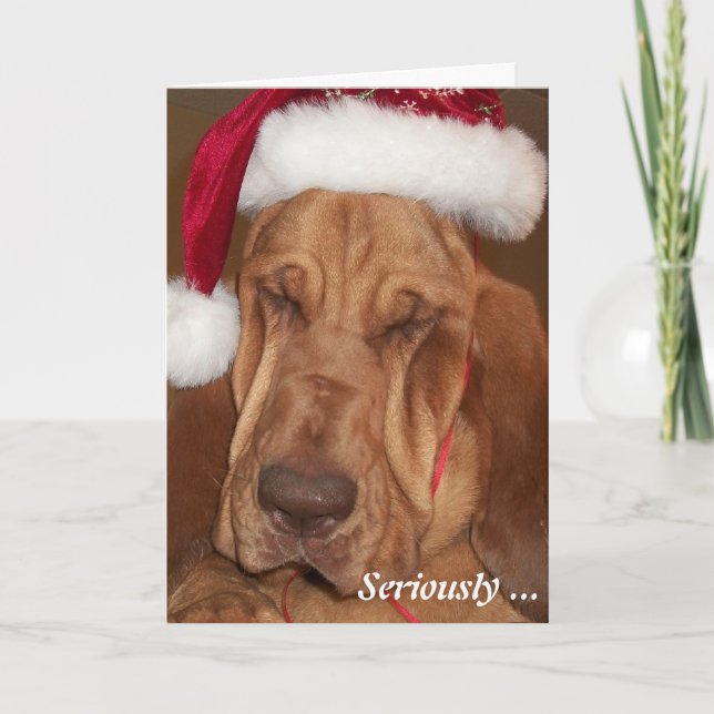 Festividades Cartão de Natal do Bloodhound (Frente)