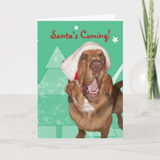 Festividades Cartão de Natal do Bloodhound