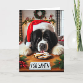 Festividades Cartão de Natal do Cachorro da Terra Nova