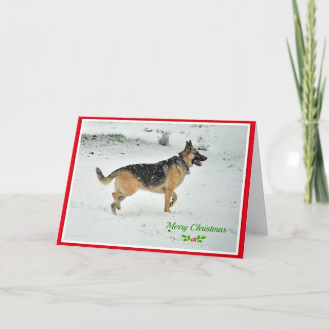 Festividades Cartão de Natal do cão de german shepherd (Frente)