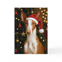 Cartão de Natal do Cão de Ibizan