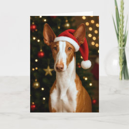 Festividades Cartão de Natal do Cão de Ibizan