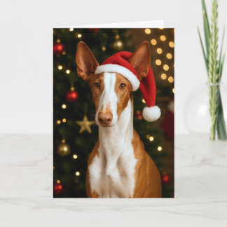 Festividades Cartão de Natal do Cão de Ibizan
