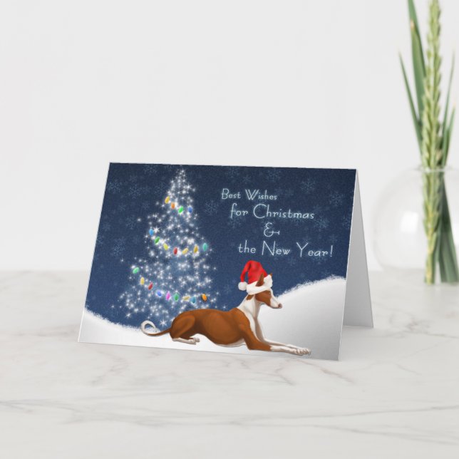 Festividades Cartão de Natal do cão de Ibizan (Frente)