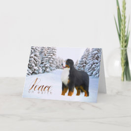 Festividades Cartão de Natal do cão de montanha de Bernese