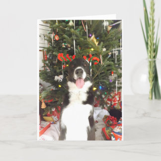 Festividades Cartão de Natal do cão dos Antlers da rena