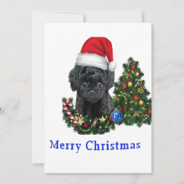 Festividades Cartão de Natal do cão fofo Poodle