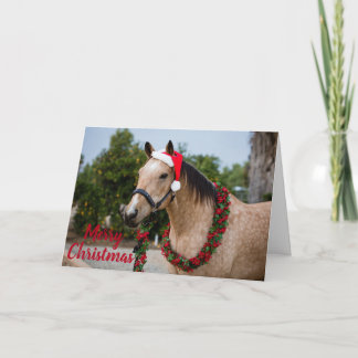 Festividades Cartão de Natal do cavalo