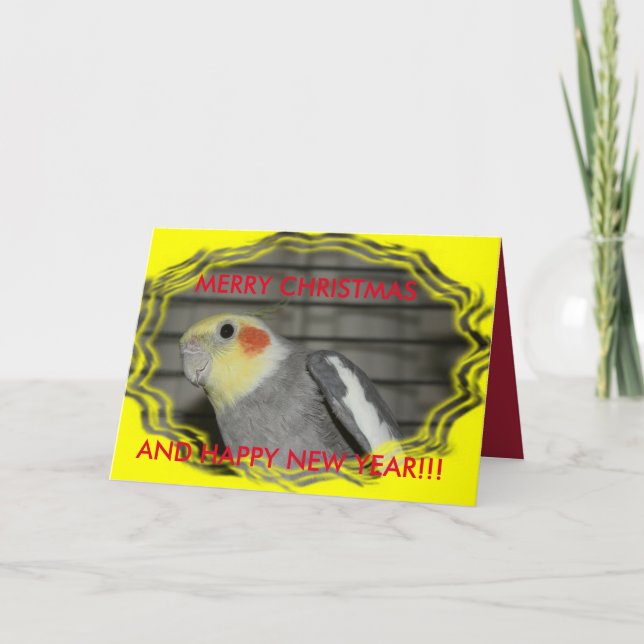 Festividades CARTÃO de Natal do Cockatiel de Harley (Frente)