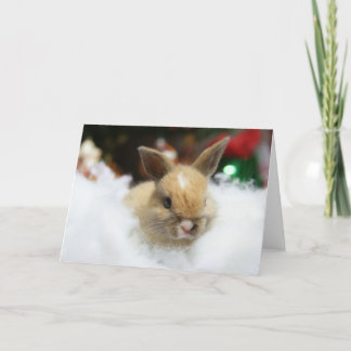 Festividades Cartão de Natal do coelho de coelho do bebê de