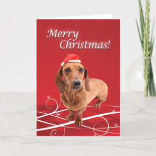 Festividades Cartão de Natal do Dachshund