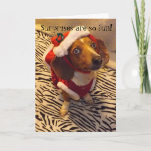 Festividades Cartão de Natal do Dachshund