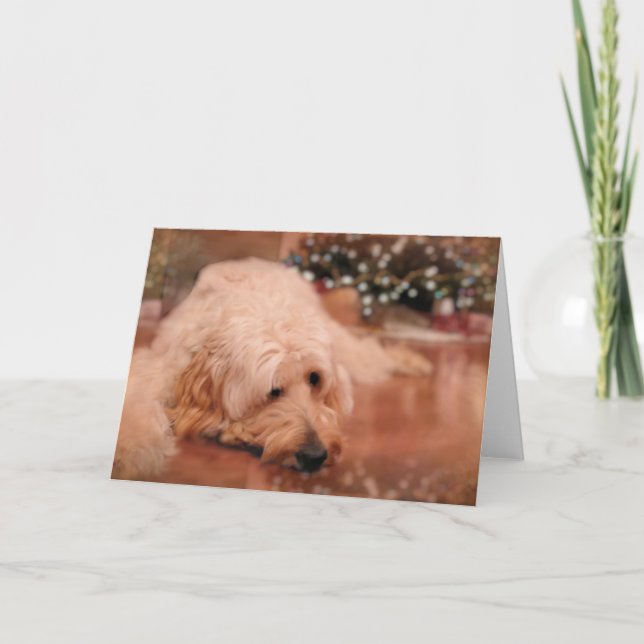 Festividades Cartão de Natal do Doodle (Frente)