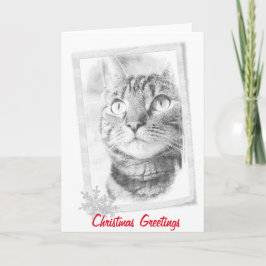 Festividades Cartão de Natal do esboço do gato de gato malhado
