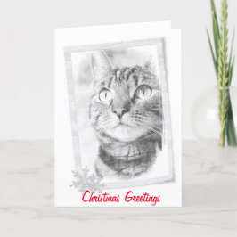 Festividades Cartão de Natal do esboço do gato de gato malhado
