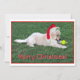 Festividades Cartão de Natal do filhote de cachorro do golden