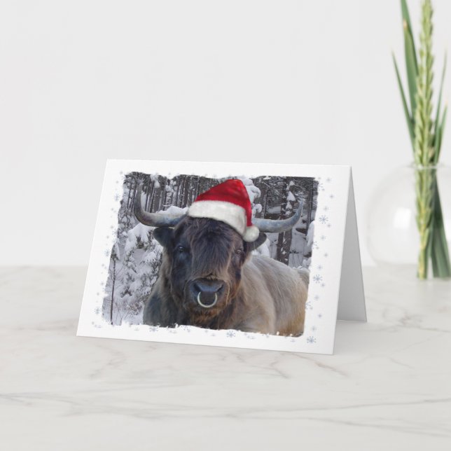 Festividades Cartão de Natal do gado das montanhas (Frente)