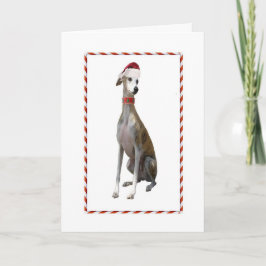 Festividades Cartão de Natal do galgo