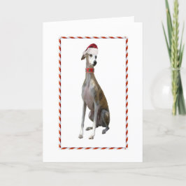 Festividades Cartão de Natal do galgo