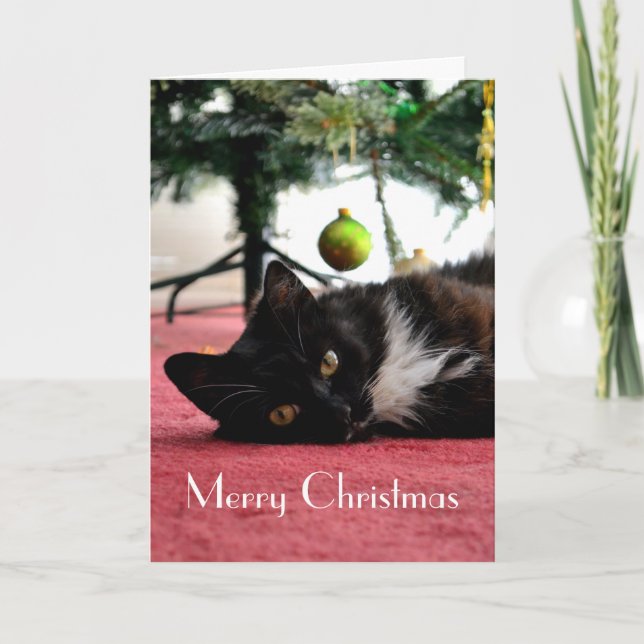 Festividades Cartão de Natal do gato (Frente)