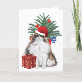 Festividades Cartão de Natal do Gato de Natal