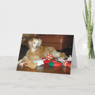 Festividades Cartão de Natal do golden retriever