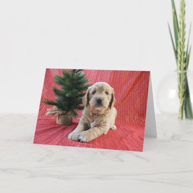 Festividades Cartão de Natal do Goldendoodle (Frente)