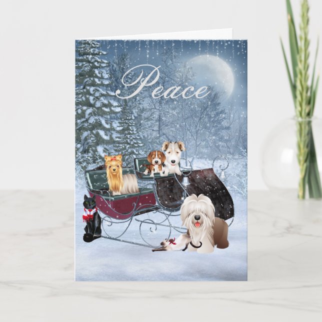 Festividades Cartão de Natal do inverno com cães, gatos, (Frente)