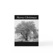 Cartão de Natal do inverno de Colorado