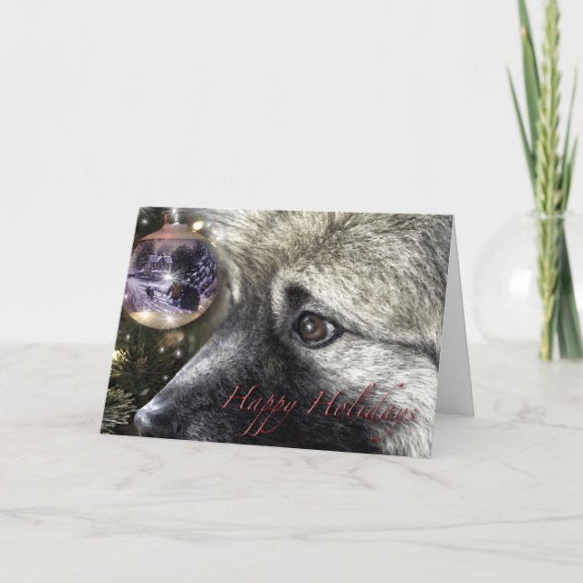 Festividades Cartão de Natal do Keeshond (Frente)