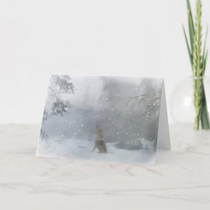 Festividades Cartão de Natal do lobo boas festas