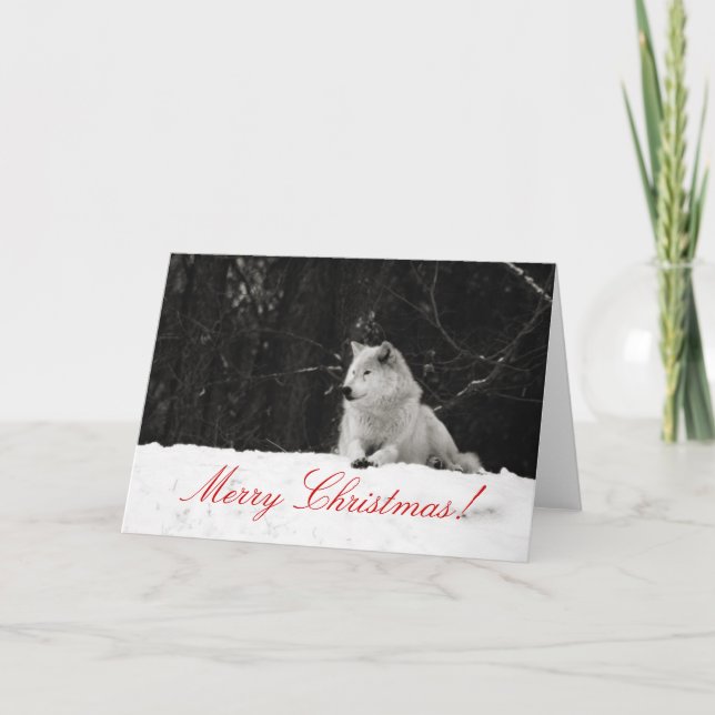 Festividades Cartão de Natal do Lobo de Neve (Frente)