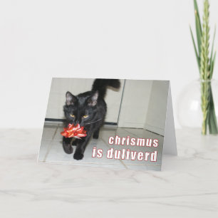 Festividades cartão de Natal do lolcat