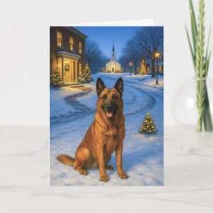 Festividades Cartão de Natal do Malinois Belga