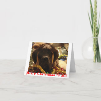 Festividades Cartão de Natal do Mastiff