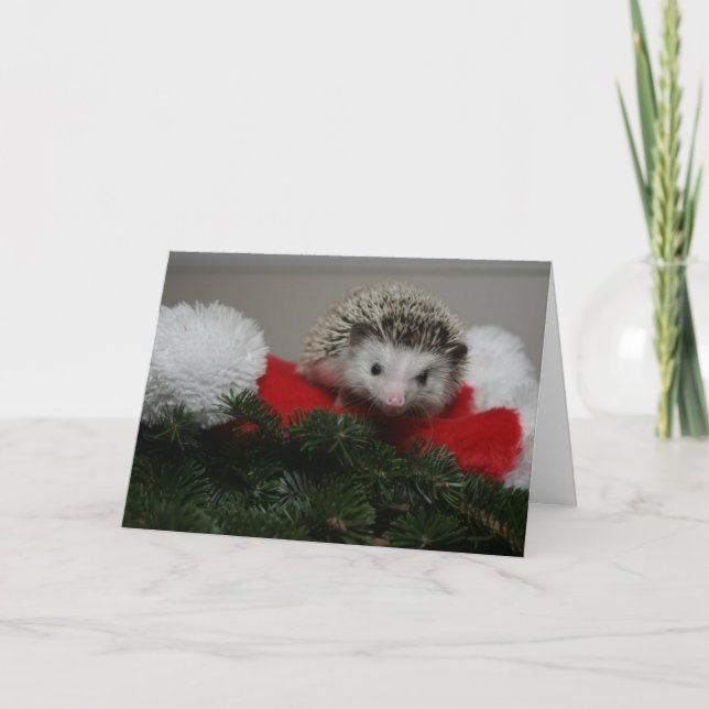 Festividades Cartão de Natal do ouriço (Frente)