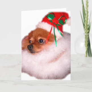 Festividades Cartão de Natal do papai noel de Pomeranian