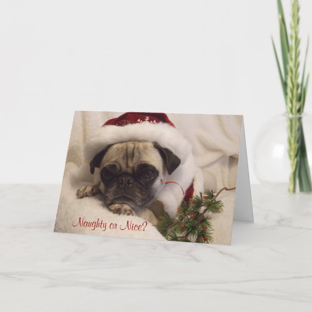 Festividades Cartão de Natal do Pug (Frente)