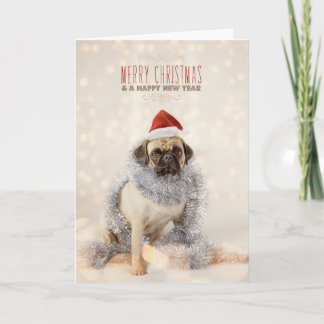 Festividades Cartão de Natal do Pug