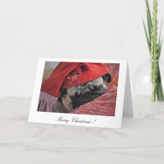 Festividades Cartão de Natal do Pug